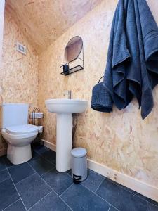 a bathroom with a sink and a toilet and a mirror at 7 - Central Studio - King Bed - Bike Facilities in Merthyr Tydfil