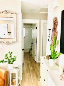 a living room with two potted plants and a mirror at The 2 Bedroom Jacksonville Blue Bungalow in Jacksonville