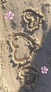 a number eight written in the sand with flowers at Appartement S+2 vue mer 20 mètres pieds dans l'eau in Port El Kantaoui