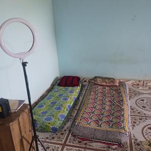 Tempat tidur dalam kamar di Malshej Ghat Hill Top Camping