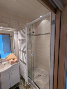 y baño con ducha acristalada y lavamanos. en Waldgasthaus & Berghotel Steinerne Renne, en Wernigerode