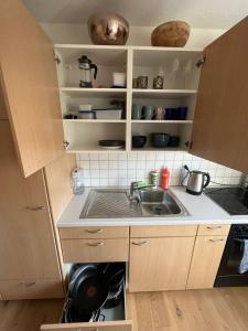 a small kitchen with a sink and a stove at Helle Oase am Zürichsee * * * * * in Freienbach