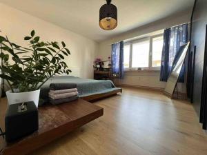 - une chambre avec un lit et une plante en pot dans l'établissement Helle Oase am Zürichsee * * * * *, à Freienbach