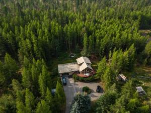 an aerial view of a house in the woods at End of the road B & B in Cranbrook