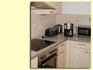 cocina con fogones horno superior junto a un microondas en Ferienwohnung Riedl, en Klingenthal