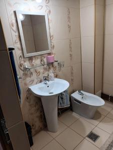 a bathroom with a sink and a mirror and a toilet at Apartament 2 dormitoare in Ploieşti