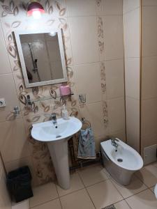 a bathroom with a sink and a mirror and a toilet at Apartament 2 dormitoare in Ploieşti