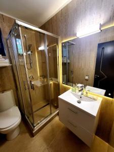 a bathroom with a shower and a sink and a toilet at Spell Hotels in Căpăţîneni-Pămînteni