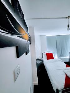 a room with a bed with a red pillow at Berridge Solo Stays - NG7 in Nottingham