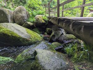 a bridge over a stream with moss covered rocks at Waldgasthaus & Berghotel Steinerne Renne in Wernigerode