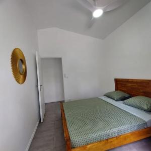 a bedroom with a bed and a mirror on the wall at L'avocat 1 avec piscine chauffée et jacuzzi a partager in Le Tampon +8 photos