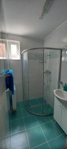 ein Badezimmer mit Dusche und Waschbecken in der Unterkunft Casa de vacanta Varf de Munte Moieciu de Sus in Moieciu de Sus