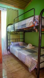 1 Schlafzimmer mit 2 Etagenbetten in einer grünen Wand in der Unterkunft Pura Natura Lodge Arroyo in Sábalo