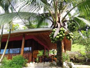 Eine Palme neben einem Haus mit einem Haufen Bananen. in der Unterkunft Pura Natura Lodge Arroyo in Sábalo