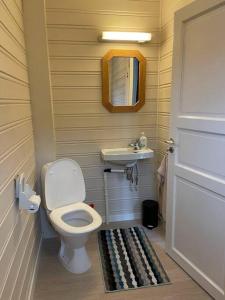 a small bathroom with a toilet and a sink at Høgset in Austefjorden