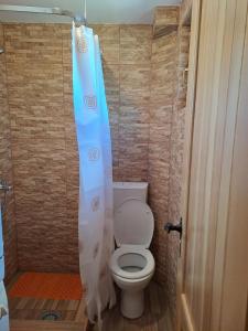 a small bathroom with a toilet with a shower curtain at Planinska kuća in Žabljak