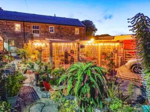 a garden in front of a house with lights at The Stables in St Ives in St Ives