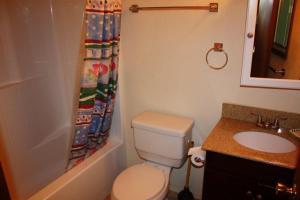 a bathroom with a toilet and a sink and a shower curtain at 2 bedroom, 2 bath, sleeps 6 adults West End of Donner Lake DLR#021 in Truckee