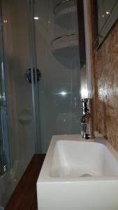 a bathroom with a white sink and a shower at Les Microchalets d'Édouard in LʼAnse-Saint-Jean