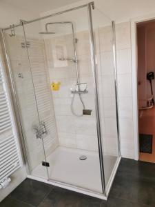 a shower with a glass enclosure in a bathroom at Quitte10 in Glindow
