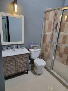 a bathroom with a toilet and a shower and a sink at victory Luxury Suites in Montego Bay