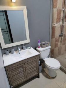 a bathroom with a toilet and a sink and a mirror at victory Luxury Suites in Montego Bay