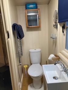 a small bathroom with a toilet and a sink at annes hatch hut 