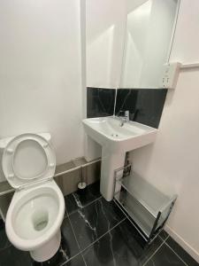 a bathroom with a white toilet and a sink at Oak Lodge in Welling