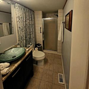 La salle de bains est pourvue d'un lavabo, de toilettes et d'une douche. dans l'établissement Sunset Lake Get-a-Way, à Powhatan