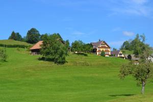 une maison sur une colline avec un champ vert dans l'établissement BnB-Blomberg, à Ebnat