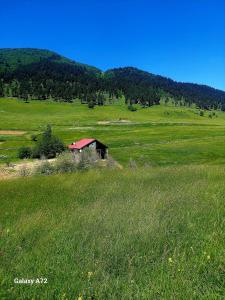 Příroda nedaleko ubytování na lodi