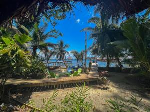 un banco en una playa con palmeras y el océano en Carmen's place en Bastimentos