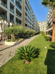 Κήπος έξω από το Seaside Apartment Shengjin- The rock
