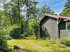 un chien pondant dans l'herbe à côté d'un bâtiment dans l'établissement 4 person holiday home in H STVEDA, à Lur