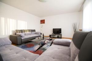 Posezení v ubytování Apartment Check In Zagreb Maksimir-free parking
