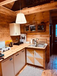 a kitchen with a sink and a counter top at LeśneEcho - domek w drzewach in Żdżar