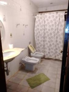 モンテ・アレーグレ・ド・スーにあるFazenda Água Claraのバスルーム(トイレ、洗面台、シャワー付)