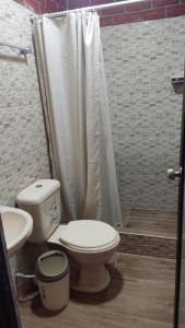 La salle de bains est pourvue de toilettes, d'un lavabo et d'une douche. dans l'établissement Bello Amanecer, à Las Palmas