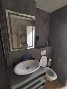 bagno con lavandino e servizi igienici con specchio di Apartament Raissa a Turda