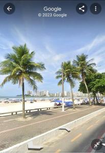 uma praia com palmeiras e um banco branco em Apartamento Pé na Areia na Praia das Pitangueiras no Guarujá