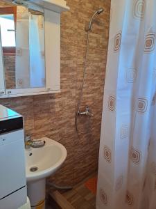 a bathroom with a shower and a sink at Planinska kuća in Žabljak