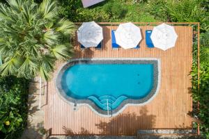 an overhead view of a swimming pool with two umbrellas at El Remanso Rainforest Lodge in Puerto Jiménez