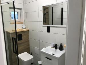 a bathroom with a toilet and a sink and a mirror at U kota Białogóra in Białogóra +33 photos