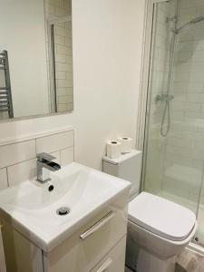 a bathroom with a sink and a toilet and a shower at Beautiful Central Woking Studio in Woking