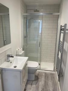 a bathroom with a shower and a toilet and a sink at Beautiful Central Woking Studio in Woking