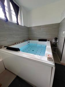 a bath tub with a blue water in it at Studio Cosy spa in Montmagny
