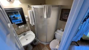 un bagno con doccia, WC e lavandino di Gîte du Caméléon a Sherbrooke