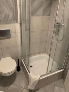 a bathroom with a shower and a toilet at Seehotel Luisenhof in Falkenhagen