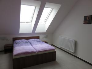 1 dormitorio con 1 cama y 2 ventanas en Penzion U Dulíka en Veselí nad Moravou