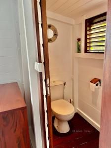 ein Bad mit einem weißen WC in einem Zimmer in der Unterkunft Case Coco Pointe Batterie. Piscine, vue mer, 4 p. in Deshaies